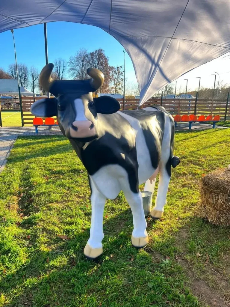 Доение коровы в аренду