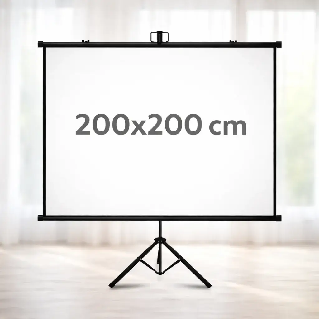 Аренда проекционного экрана 200х200